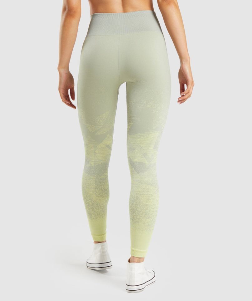 Women's Gymshark Adapt Ombre Seamless Leggings Mint | NZ 0IAKWM